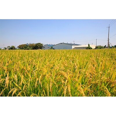 「2021年5月上旬発送」兵庫県産コシヒカリ、ヒノヒカリ、キヌヒカリ3点セット 15kg(玄米)