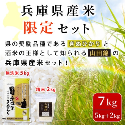 無洗米兵庫県産キヌヒカリ5kg+兵庫県産山田錦2kg