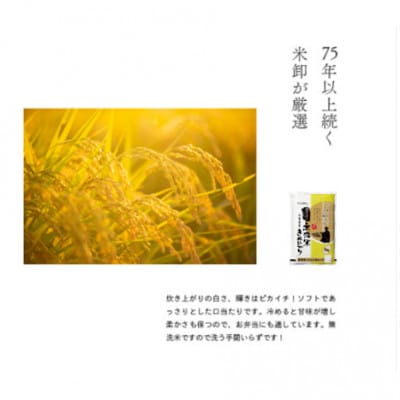 無洗米兵庫県産キヌヒカリ5kg+兵庫県産山田錦2kg