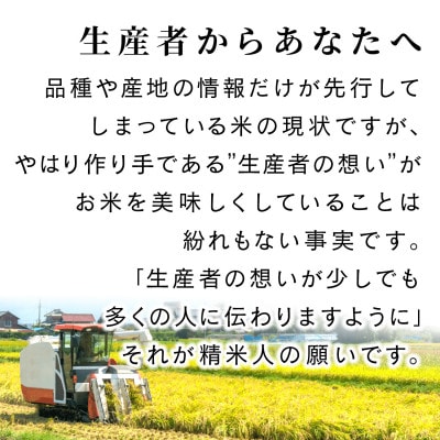 無洗米兵庫県産キヌヒカリ5kg+兵庫県産山田錦2kg