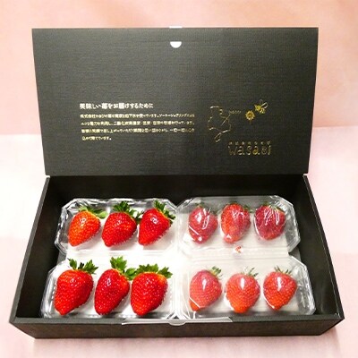 超特大粒いちご3粒入り4パックセット　品種おまかせ