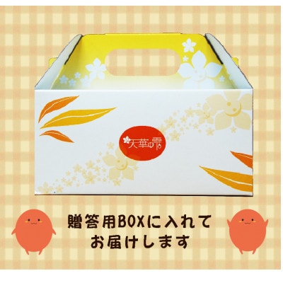 農菓村塾の完熟マンゴー『天華の雫』　　　　特選3L　2個入(合計920g以上)