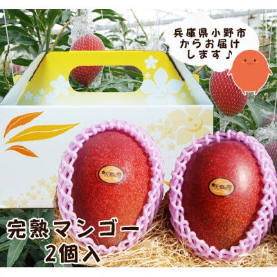農菓村塾の完熟マンゴー『天華の雫』　　　　秀品3L　2個入(合計約920g以上)