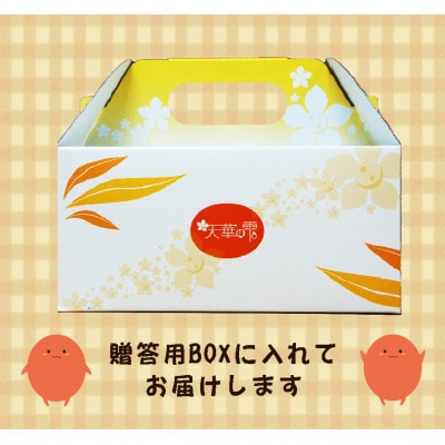 農菓村塾の完熟マンゴー『天華の雫』　　　秀品2L　2個入(合計約700g以上)