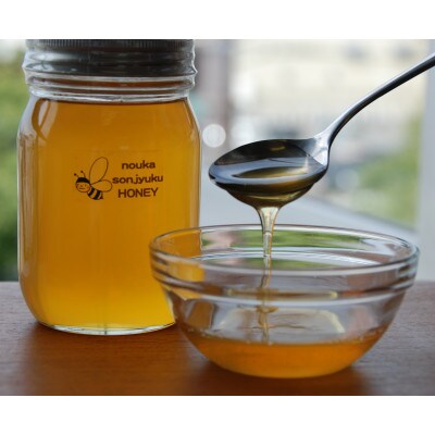 農菓村塾の国産はちみつ　noukasonjuku HONEY180g×2個