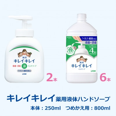 キレイキレイ薬用液体ハンドソープ(本体250ml×2本+詰め替え用800ml×6本)
