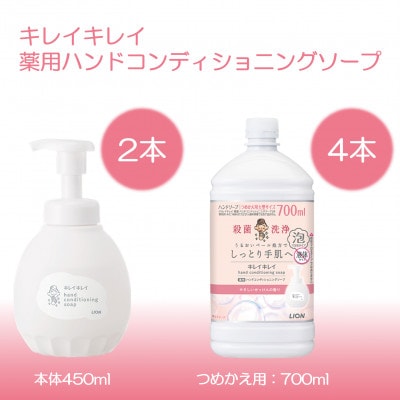 キレイキレイ薬用ハンドコンディショニングソープ 泡タイプ【本体×2、つめかえ用×4】(ライオン)