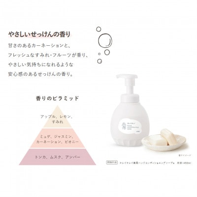 キレイキレイ薬用ハンドコンディショニングソープ 泡タイプ【本体×2、つめかえ用×4】(ライオン)