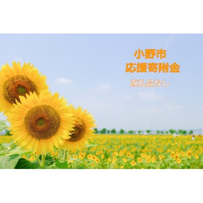 【返礼品なし】小野市応援寄附金　10,000円