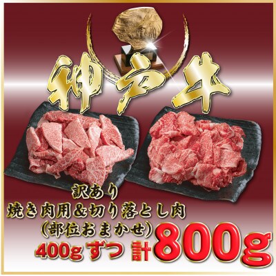 神戸牛(神戸ビーフ)訳あり焼肉&切り落とし肉 計800g ONSY2 【2026年4月より順次発送】