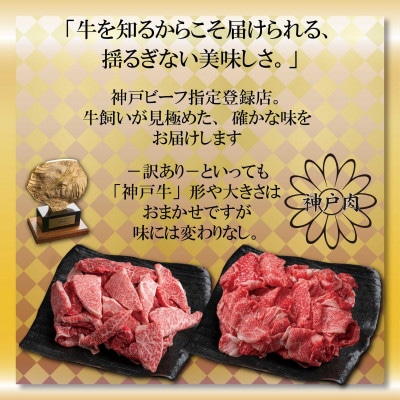 神戸牛(神戸ビーフ)訳あり焼肉&切り落とし肉 計800g ONSY2 【2026年4月より順次発送】