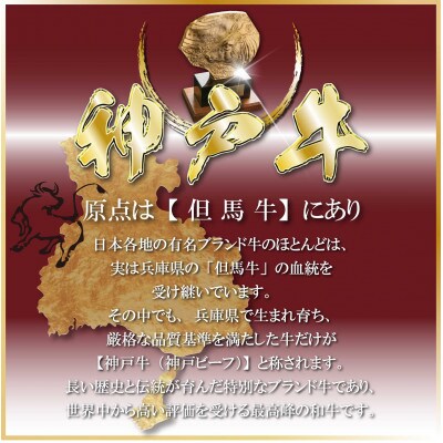 神戸牛(神戸ビーフ)訳あり焼肉&切り落とし肉 計800g ONSY2 【2026年4月より順次発送】