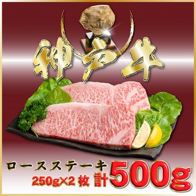 神戸牛(神戸ビーフ) サーロインステーキ 計500g ONST5 【2026年4月より順次発送】