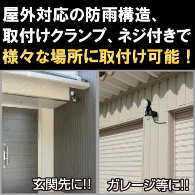 大進 センサーライト1灯式 コンセント DLA-N4T100 防犯ライト 100V 防雨 屋外 人感