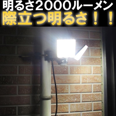大進 LEDセンサーライト2灯式 DLA-7T200 防犯ライト 100V 防雨 屋外 人感センサー