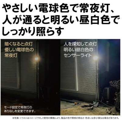 大進 LEDセンサーライト 常夜灯機能付き DLA-12T100 防犯ライト 100V 防雨 屋外