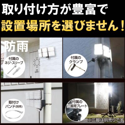 大進 LEDセンサーライト6灯式 極 DLA-10T600 防犯ライト 100V 防雨 屋外