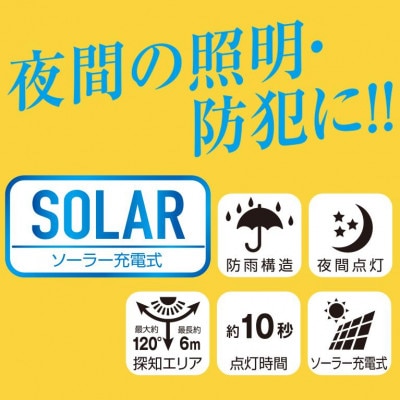 大進 明るさ切り替えができるソーラー センサーライト 800lm DLS-WL010 防犯ライト