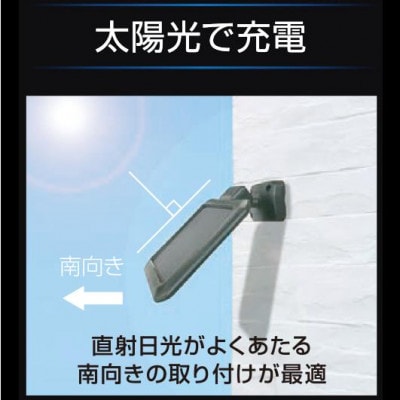 大進 ソーラー充電式LEDセンサーライト2灯 DLS-17T200 防犯ライト ソーラーライト 防雨