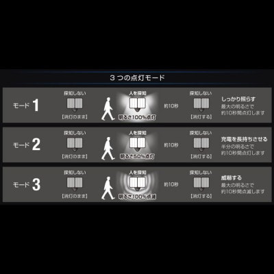 大進 ソーラー充電式LEDセンサーライト2灯 DLS-17T200 防犯ライト ソーラーライト 防雨