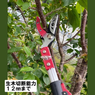 大進 収納に便利な伸縮式高枝切鋏4段 DG-009R4 高枝切りバサミ 4939736703298