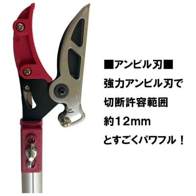 大進 軽量伸縮式高枝切鋏アンビル刃2m DG-14R6 高枝切りバサミ 4939736703397