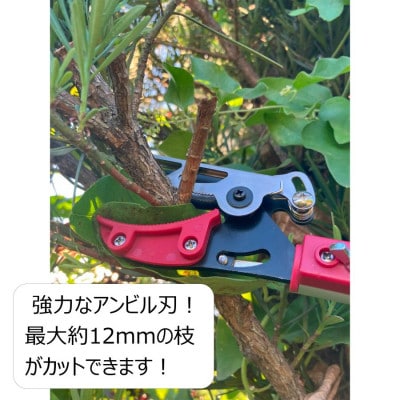 大進 軽量伸縮式高枝切鋏アンビル刃2m DG-14R6 高枝切りバサミ 4939736703397