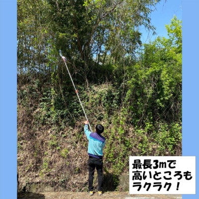 大進 イージーカット高枝切鋏 DG-500S 高枝切りバサミ 4939736701577