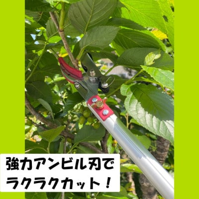 大進 イージーカット高枝切鋏 DG-500S 高枝切りバサミ 4939736701577