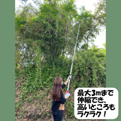 大進 収納に便利な伸縮式高枝切鋏3段 DG-002R4 高枝切りバサミ 4939736702994