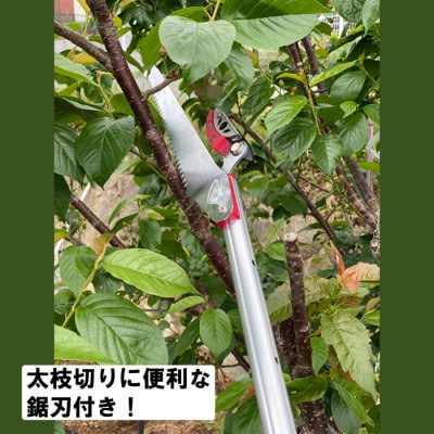 大進 収納に便利な伸縮式高枝切鋏3段 DG-002R4 高枝切りバサミ 4939736702994