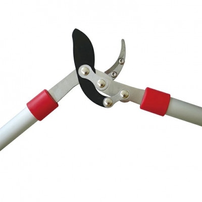 大進 太枝切鋏アルミパイプ柄 DG-K005 4939736703113