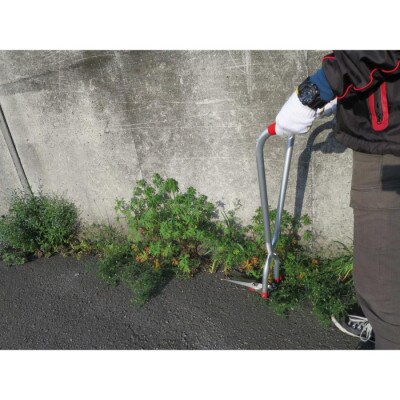 大進　立ち刈る君1号　4939736502969