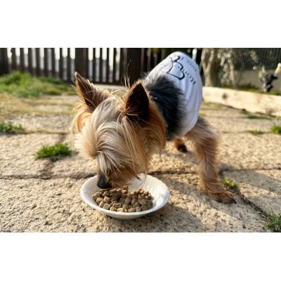 愛犬用ごはん/ひとつごはん　うまぽてと500g