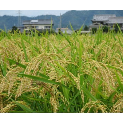 八千種米 ヒノヒカリ 5kg×1袋(精米)
