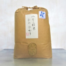 八千種米 ヒノヒカリ 5kg&times;1袋(玄米)