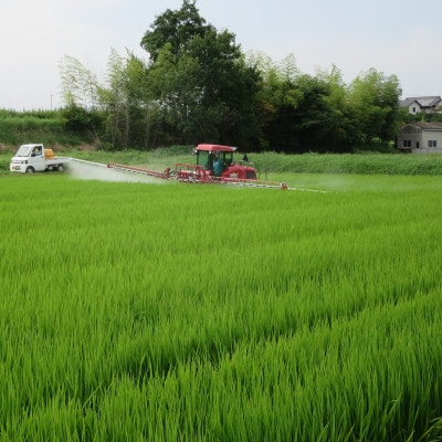 八千種米 ヒノヒカリ 5kg×1袋(玄米)