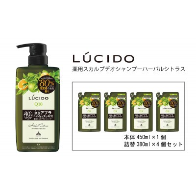 マンダムのルシード薬用スカルプデオシャンプーハーバルシトラス　MA-77B