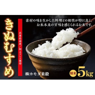 【令和6年産】兵庫県南産きぬむすめ 5kg