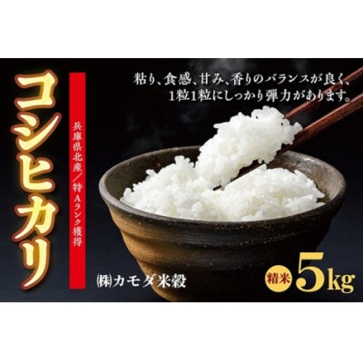 【令和6年産】兵庫県北産こしひかり 5kg