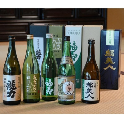 【ひょうごふるさと館】兵庫五国!個性派揃い純米酒 5本セット(720ml×各1本)