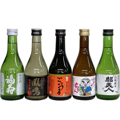 【ひょうごふるさと館】兵庫五国!隠れ名酒のほろ酔い 5本セット(300ml×各1本)