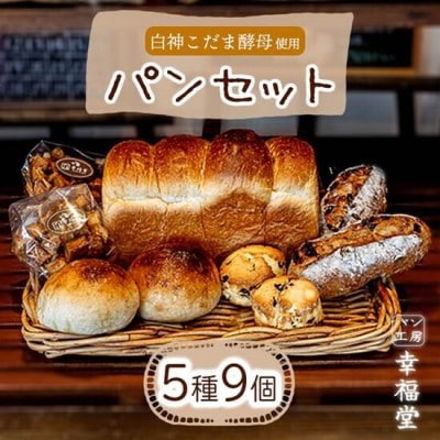 人気のパン5種セット計9個