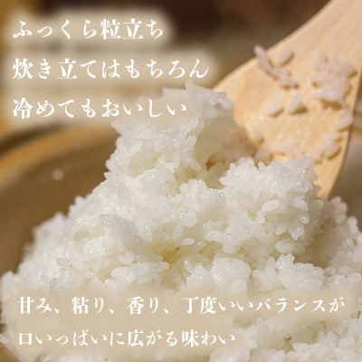 【精米】令和8年産　ヒノヒカリ　八千種米　10kg