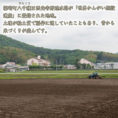 【玄米】令和7年産　ヒノヒカリ　八千種米 10kg