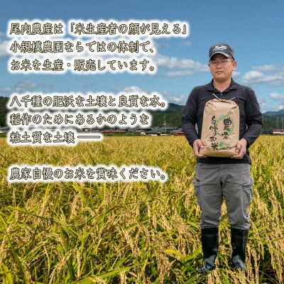 【毎月定期便】ヒノヒカリ 八千種米 5kg全3回