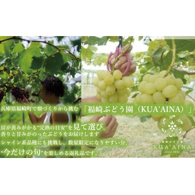 朝採れご家庭用シャインマスカット2Kg