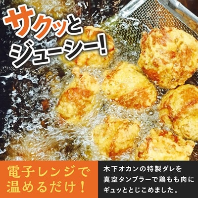 空とぶからあげ 750g(250g×3パック)オカンの特性塩ダレ味 電子レンジで温めるだけ 冷凍便