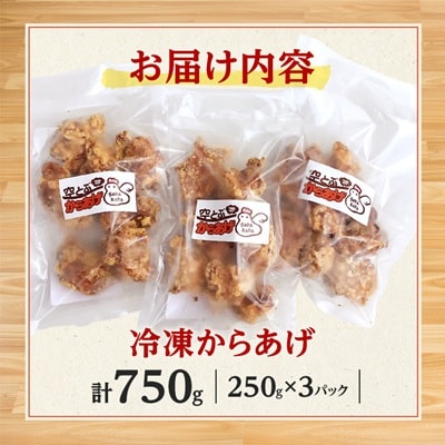 空とぶからあげ 750g(250g×3パック)オカンの特性塩ダレ味 電子レンジで温めるだけ 冷凍便