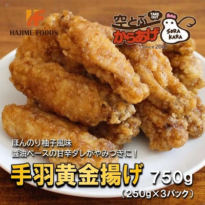 手羽黄金揚げ 750g(250g×3パック) 甘辛ダレがやみつき 電子レンジで温めるだけ 冷凍便